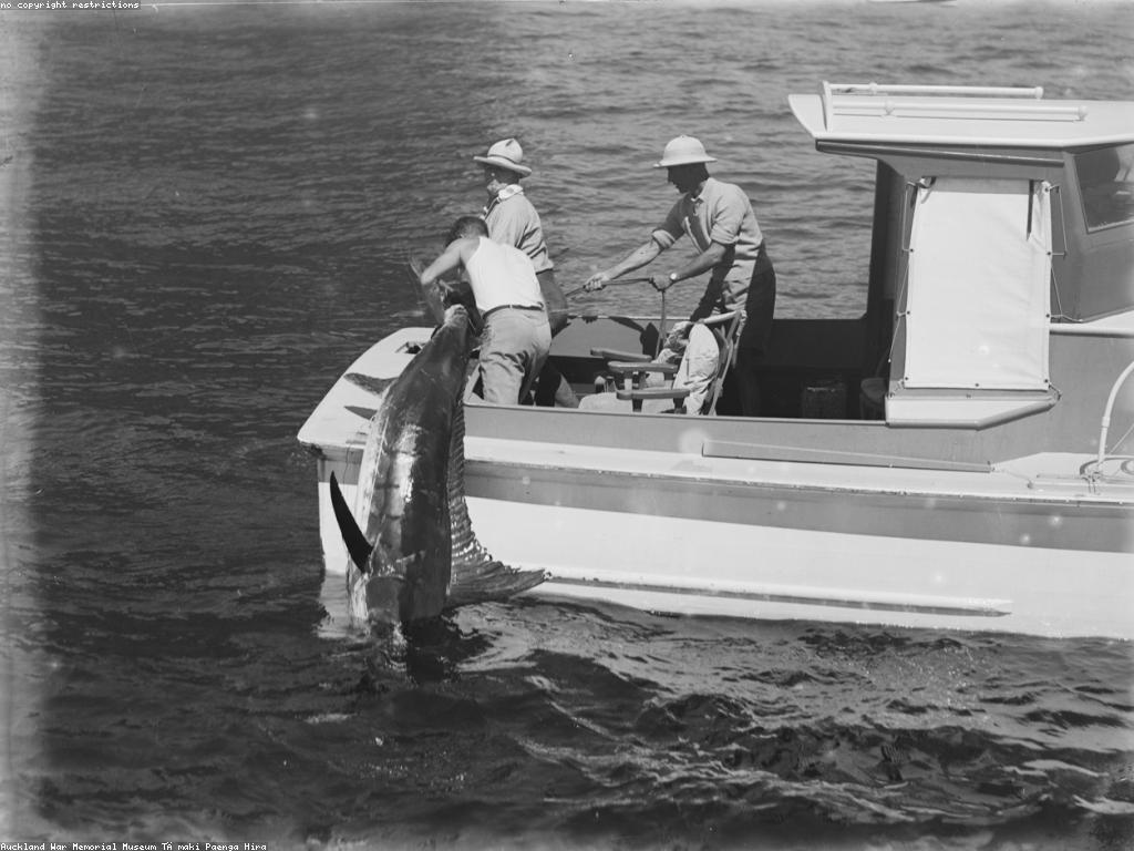 យុទ្ធសាស្ត្រសម្រាប់ការប្រកួតGame Slot ត្រីដែលមានភាពទាក់ទាញ