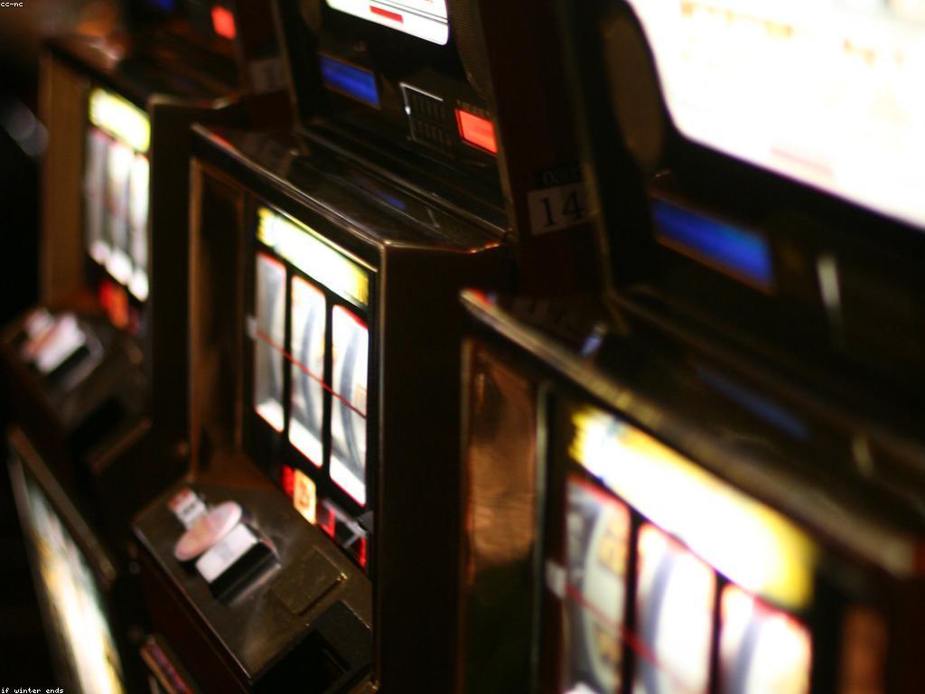 ត្រីថ្មីៗក្នុងហ្គេម Slot: របៀបដាក់កាស៊ីណូអនឡាញ