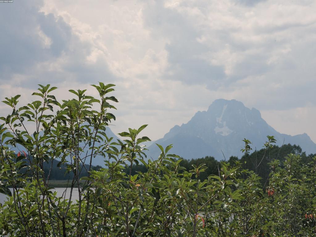 យុទ្ធសាស្ត្រថ្មីៗសម្រាប់ហ្គេមSlotត្រី