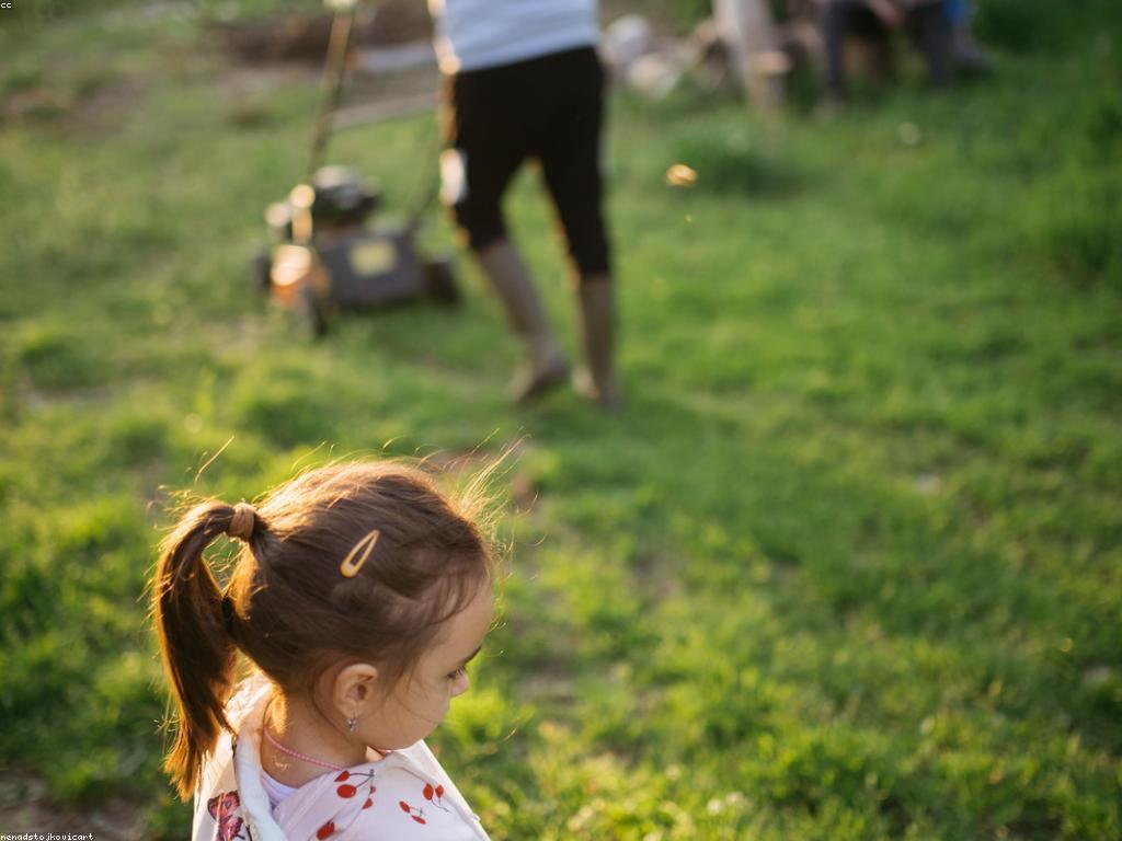 ស្វែងរកសកម្មភាពការលេងសាមញ្ញ